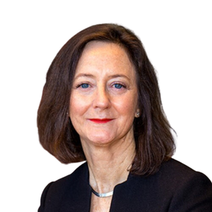 Lyn O’Connell PSM (Deputy Secretary at Department of Climate Change, Energy, the Environment and Water)